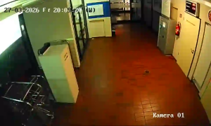 Caméra IP - Germany