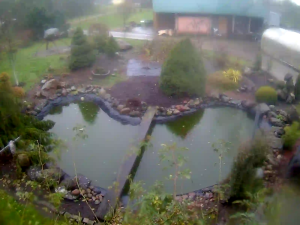 Caméra IP - Lituanie