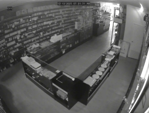 Caméra IP - United States of America