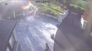 Caméra IP - Ireland