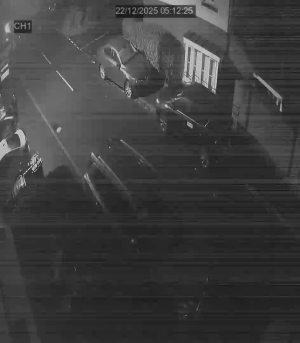 Caméra IP - Vereinigtes Königreich