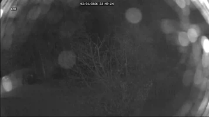 Caméra IP - United States of America