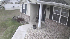 Caméra IP - États-Unis d'Amérique