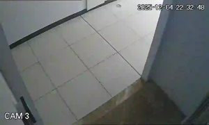 Caméra IP - Singapur