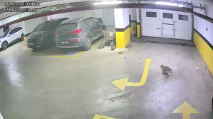 Caméra IP - Türkiye