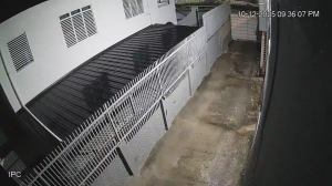 Caméra IP - Porto Rico