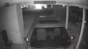 Caméra IP - Estados Unidos