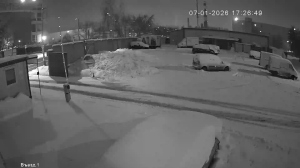 Caméra IP - Russian Federation