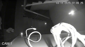 Caméra IP - Vietnam