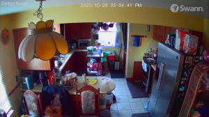 Caméra IP - Estados Unidos