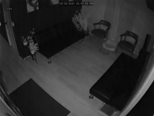 Caméra IP - United States of America