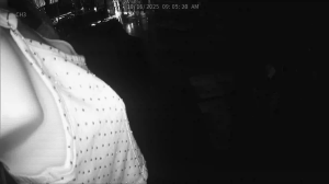 Caméra IP - United States of America