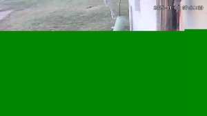 Caméra IP - États-Unis d'Amérique