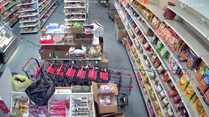 Caméra IP - United States of America