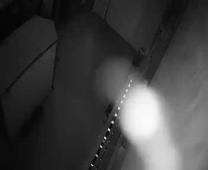 Caméra IP - Belgium