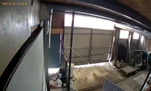 Caméra IP - Russian Federation