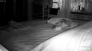 Caméra IP - Stati Uniti d'America