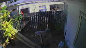 Caméra IP - Neuseeland