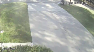 Caméra IP - United States of America