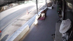 Caméra IP - Südkorea