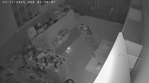 Caméra IP - Vietnam