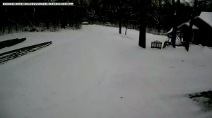 Caméra IP - United States of America