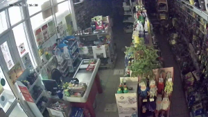 Caméra IP - Russian Federation