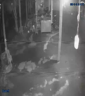 Caméra IP - Vietnam