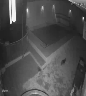 Caméra IP - Sudáfrica