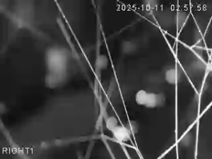 Caméra IP - United Kingdom