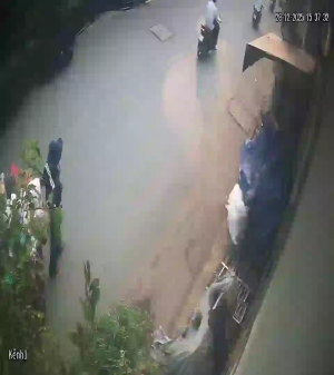 Caméra IP - Vietnam