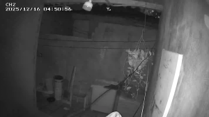 Caméra IP - Colombia