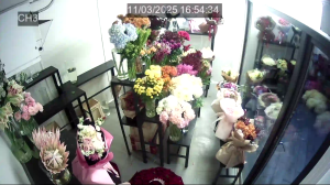 Caméra IP - Ukraine