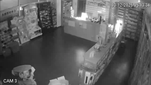 Caméra IP - Bosnia and Herzegovina