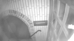 Caméra IP - Germany