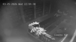 Caméra IP - Hong Kong