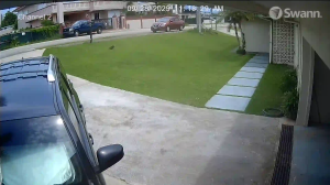 Caméra IP - Guam