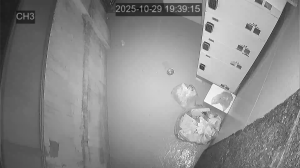 Caméra IP - South Korea