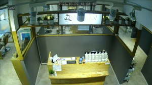 Caméra IP - Japan