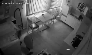 Caméra IP - Germany