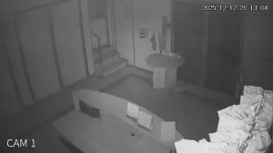 Caméra IP - Malasia