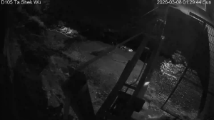 Caméra IP - Hong Kong