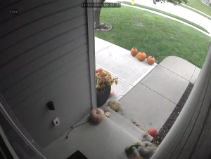 Caméra IP - Vereinigte Staaten von Amerika