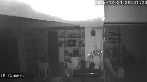 Caméra IP - Griechenland