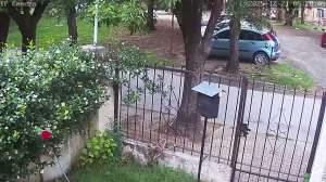 Caméra IP - Argentina