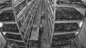 Caméra IP - Malasia