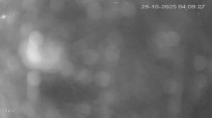 Caméra IP - New Zealand