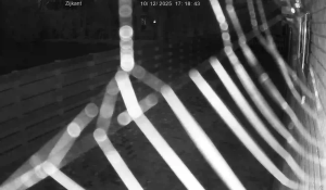 Caméra IP - Pays-Bas