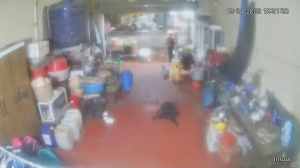 Caméra IP - Vietnam