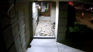 Caméra IP - Vereinigte Staaten von Amerika